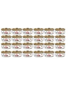 Royal CANIN 24 latas Recovery 145 g