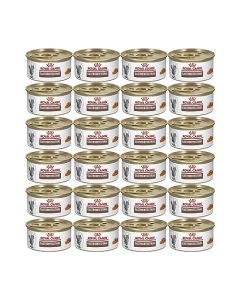 Royal CANIN Gastrointestinal para Gato 24 latas de 145gr